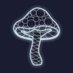  FLORENTIN-Grand Champignon 
