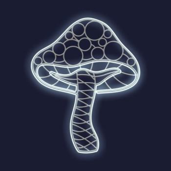  FLORENTIN-Grand Champignon 