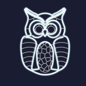  VICTOR-Hibou H85xL62cm-NEON 