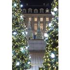  Guirlande Moon L.10m BL CH 