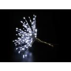  Romance o50cm BL p�t 
