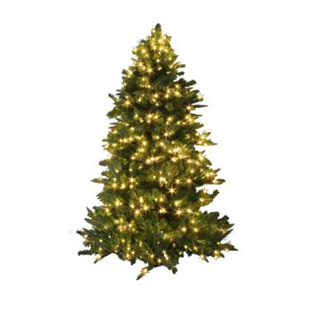  Demi-sapin H1,8m O 0,96m BL CH 