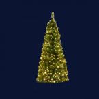  Splendid, sapin H2m 