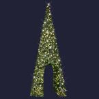  Sapin Passage H7,20m BL CH pt 