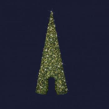  Sapin Passage H10m BL CH pt 