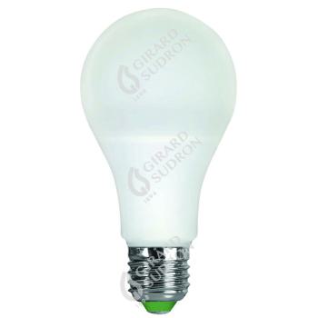  Standard A65 LED 330° 12W E27 