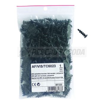  Sachet de 250 vis autoforeuses 