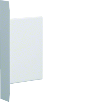  Embout p. BKIS 25 acier blanc 