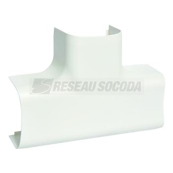  T� pour CLM50065, bp 