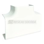  T� pour CLM75125, bp 