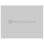  Plaque fond Gamma 13 pr rhaus 