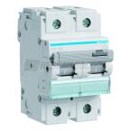  Disjoncteur 2P 15kA C-100A 3M 