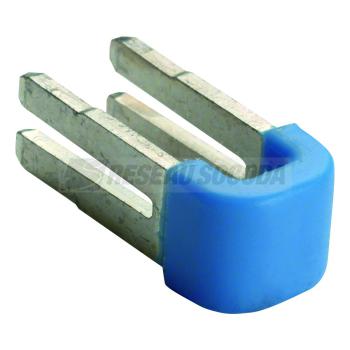  10 cavaliers pont bornier SanV 