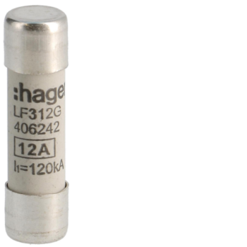  Fusibles cylindrigue 10x38mm g 