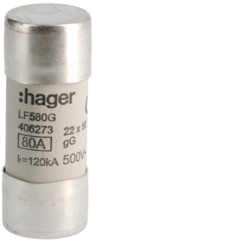  Fusibles cylindrigue 22x58mm g 