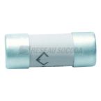  Fusibles cylindrigue 22x58mm g 