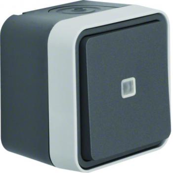  Cubyko leaf V&V lumineux saill 