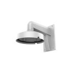  DS-1273ZJ-DM25-M1 