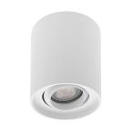 ALBA R GU10 MAX10W PAR16 Blanc 