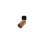  OKTO C GU10 MAX10W PAR16 Noir 