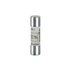  CARTOUCHE GG 10X38    1A 500V 
