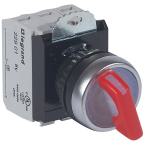  ACS COMPO L 2P MAN  RG 24V + N 