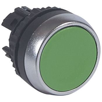  ACS TETE P-POUS AFF VERT 