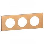  PLAQUE 3P  ERABLE 