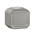  VV 10AX TEMOIN GRIS SAILLIE 