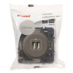  CHARG 2USB A+A 3A 15W GRAP 