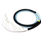  PRECO OM3 SERRE 12F SC/SC 30M 