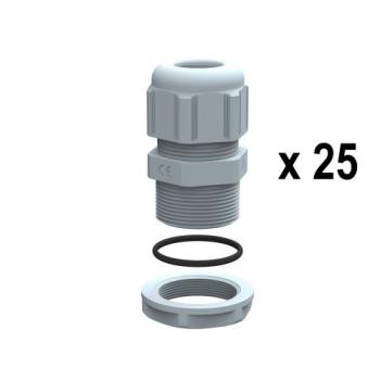  LOT 25 PE RAL 7001 PG 7 