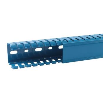  GOULOTTE 40X40 SANS HALO BLEU 