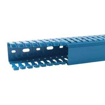  GOULOTTE 40X60 SANS HALO BLEU 