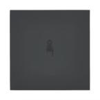  ART ESCNM V/V LUMINEUX 