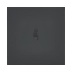  ART ESCNM V/V LUMINEUX 