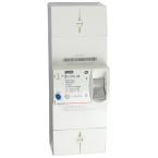  DISJONCTEUR BIPO 60A SELECTIF 