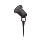  TULIPE PROJECTEUR PIQUET 12V 1 