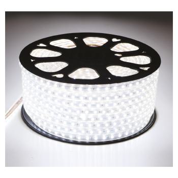  BOBINE 5050 50M 7W/M 6000K IP6 