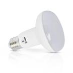  LED R80 E27 10W 4000K DEPOLI B 
