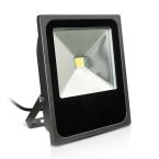  PROJ 80W 6000K PLAT GRIS IP65 