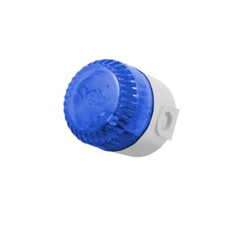  DL Solista Maxi flash bleu bas 