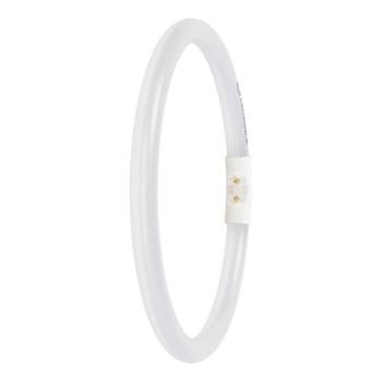  LED FC22 EXT 11.6W 865 2GX13 