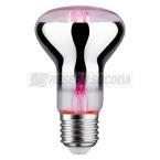  AMP E27 Fil Plant R63 6,5W 200 