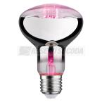  AMP E27 Fil Plant R80 6,5W 200 