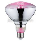  AMP E27 Fil Plant PAR38 6,5W 2 
