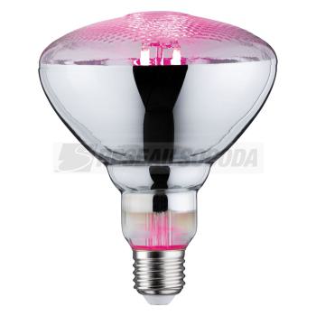  AMP E27 Fil Plant PAR38 6,5W 2 