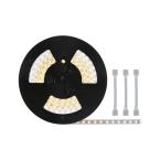  Ruban MaxLED500 20m TunableWhi 