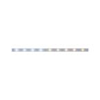  Ruban MaxLED250 recouvert 1m T 