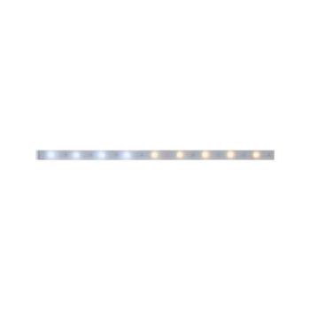  Ruban MaxLED250 recouvert 1m T 